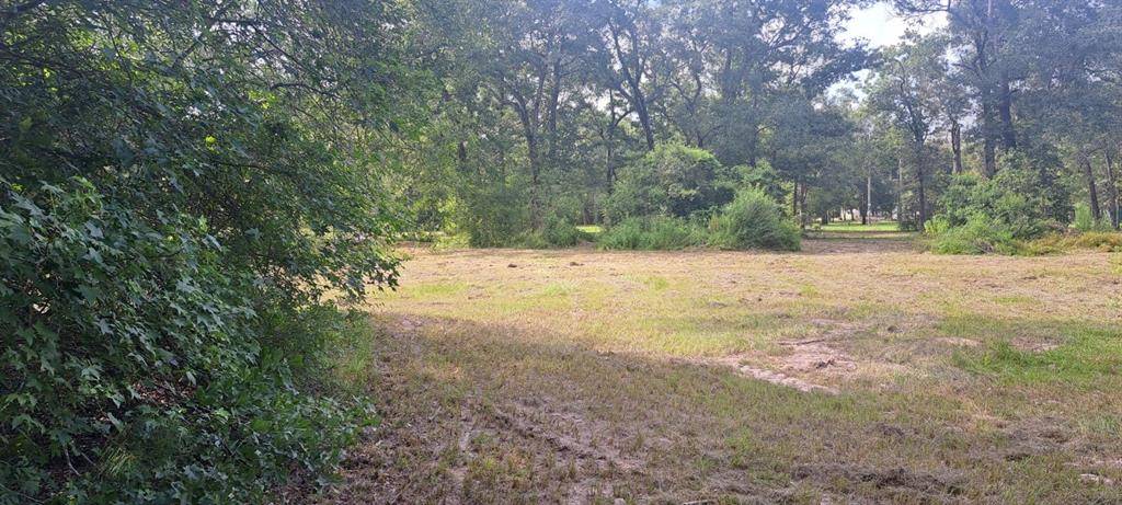 Conroe, TX 77306,14417 Twin Lakes CIR