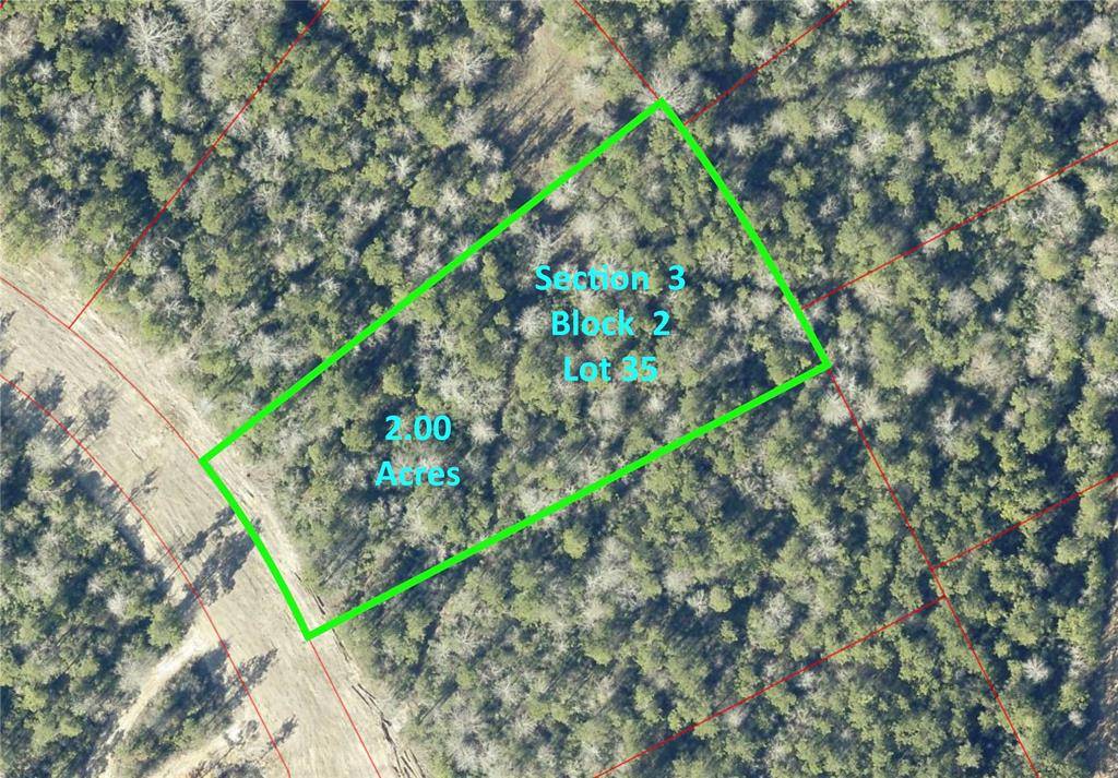 Willis, TX 77378,15810 Wooded Trail WAY