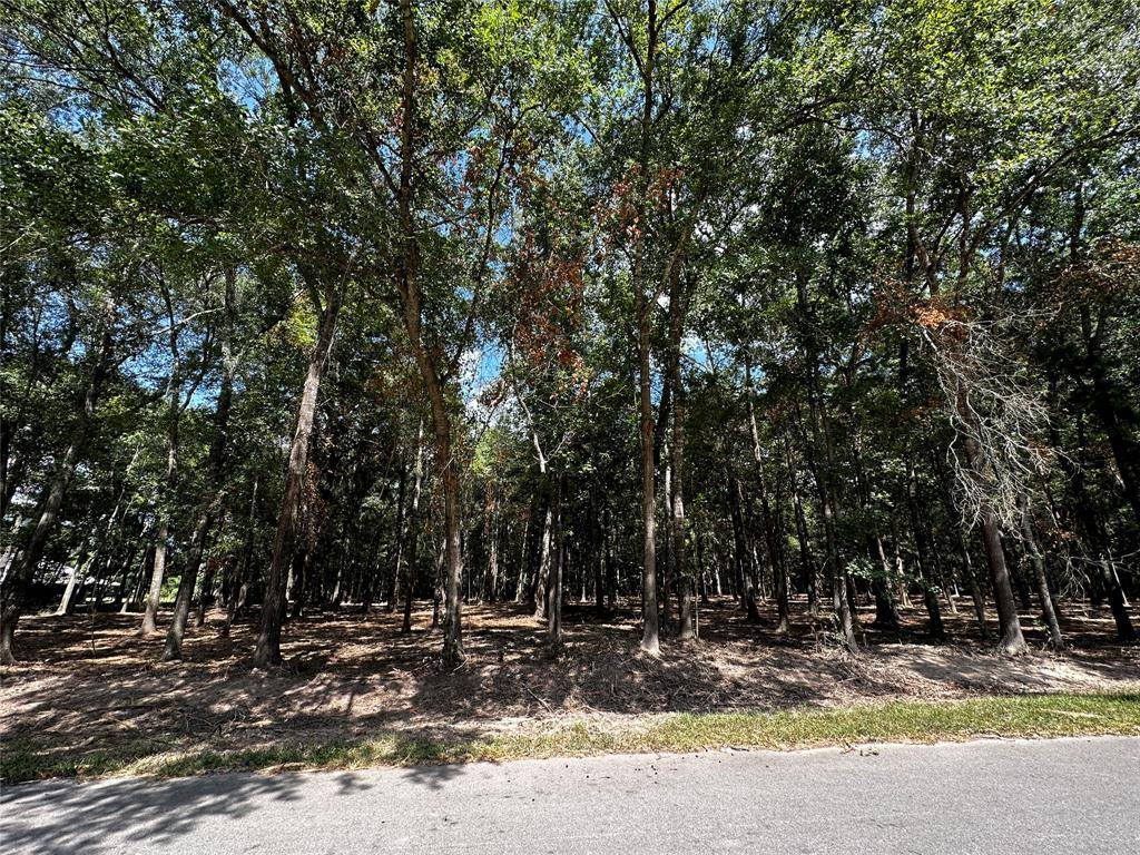 Cleveland, TX 77327,0 County Road 2191