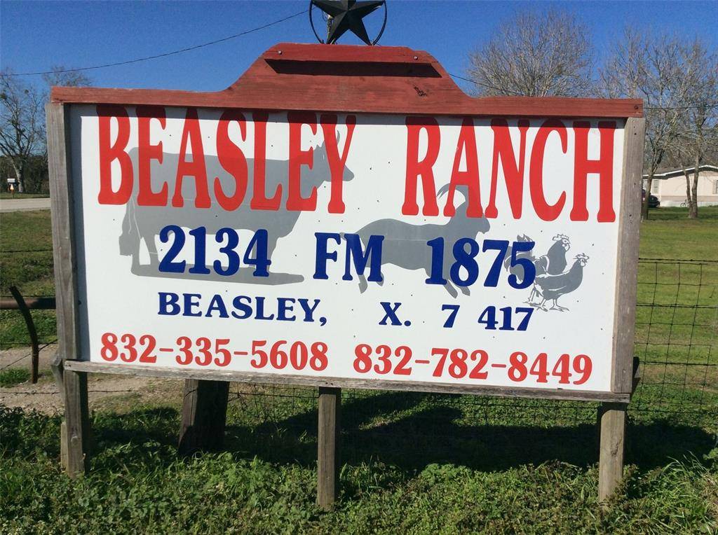 Beasley, TX 77417,2134- C3 Fm 1875 RD #B