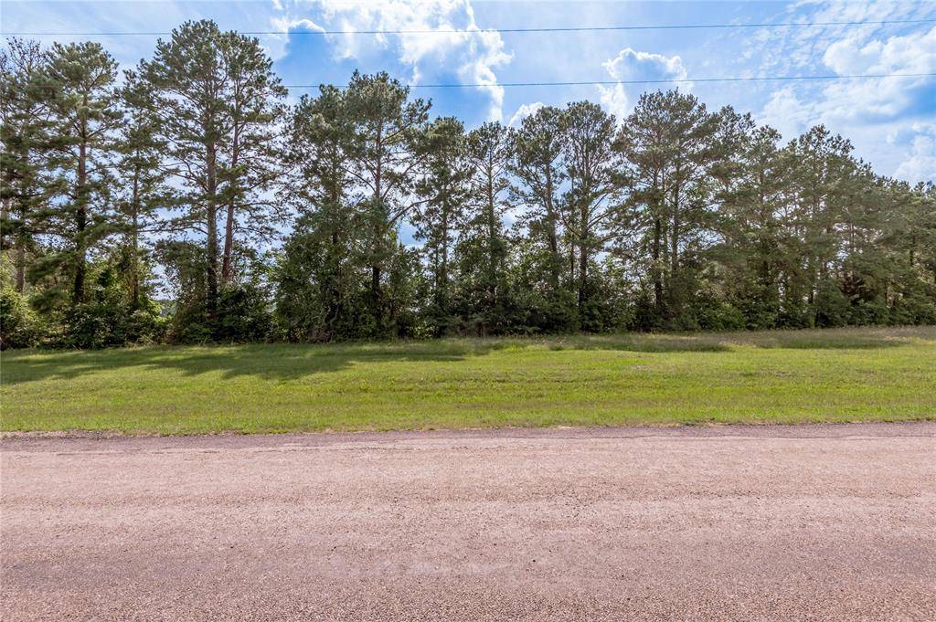 Trinity, TX 75862,Lot 1 A Tara DR