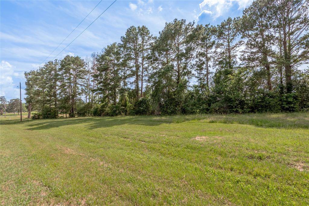 Trinity, TX 75862,Lot 1 A Tara DR