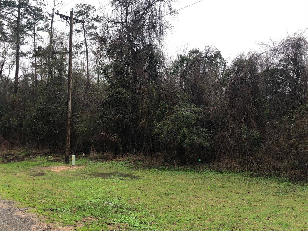 Coldspring, TX 77331,Lot 66 & 67 Hill LN