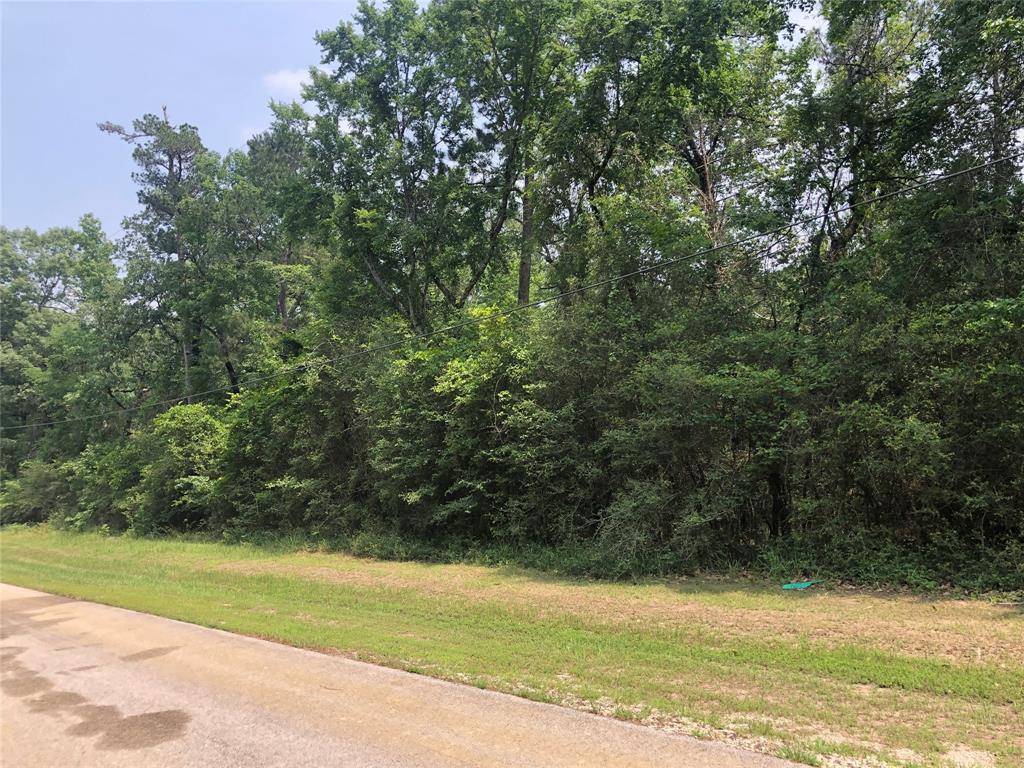 Trinity, TX 75862,TBD Pine Drive