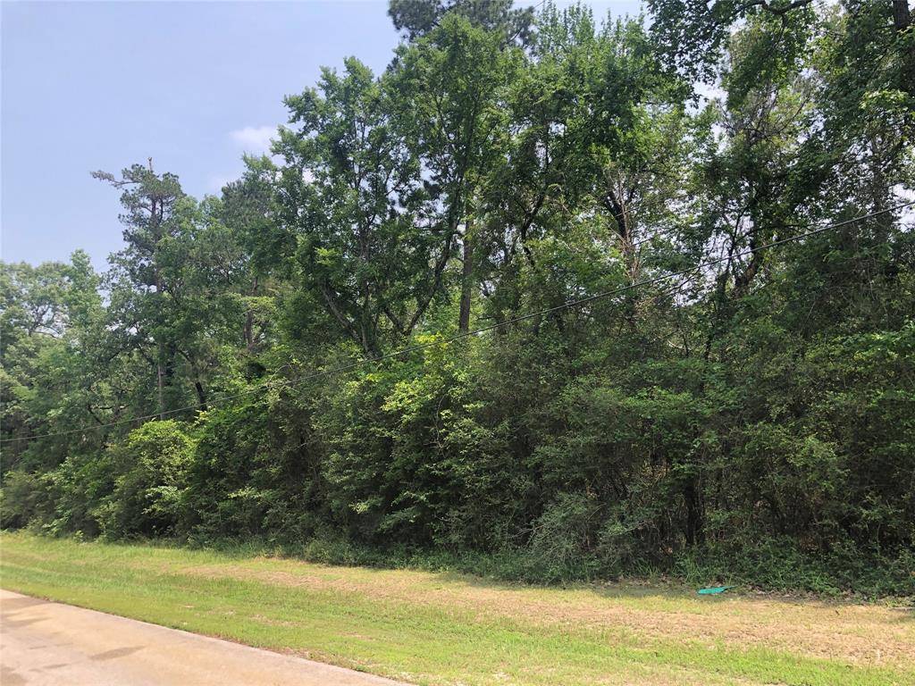 Trinity, TX 75862,TBD Pine Drive