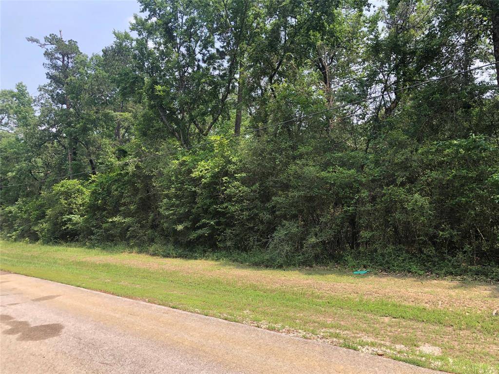 Trinity, TX 75862,TBD Pine Drive