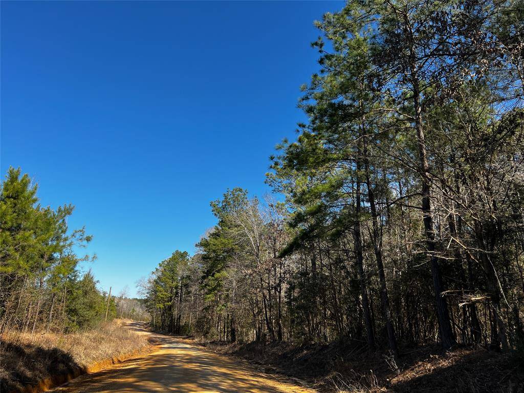 Livingston, TX 77351,000 Bracewell Cemetery Rd