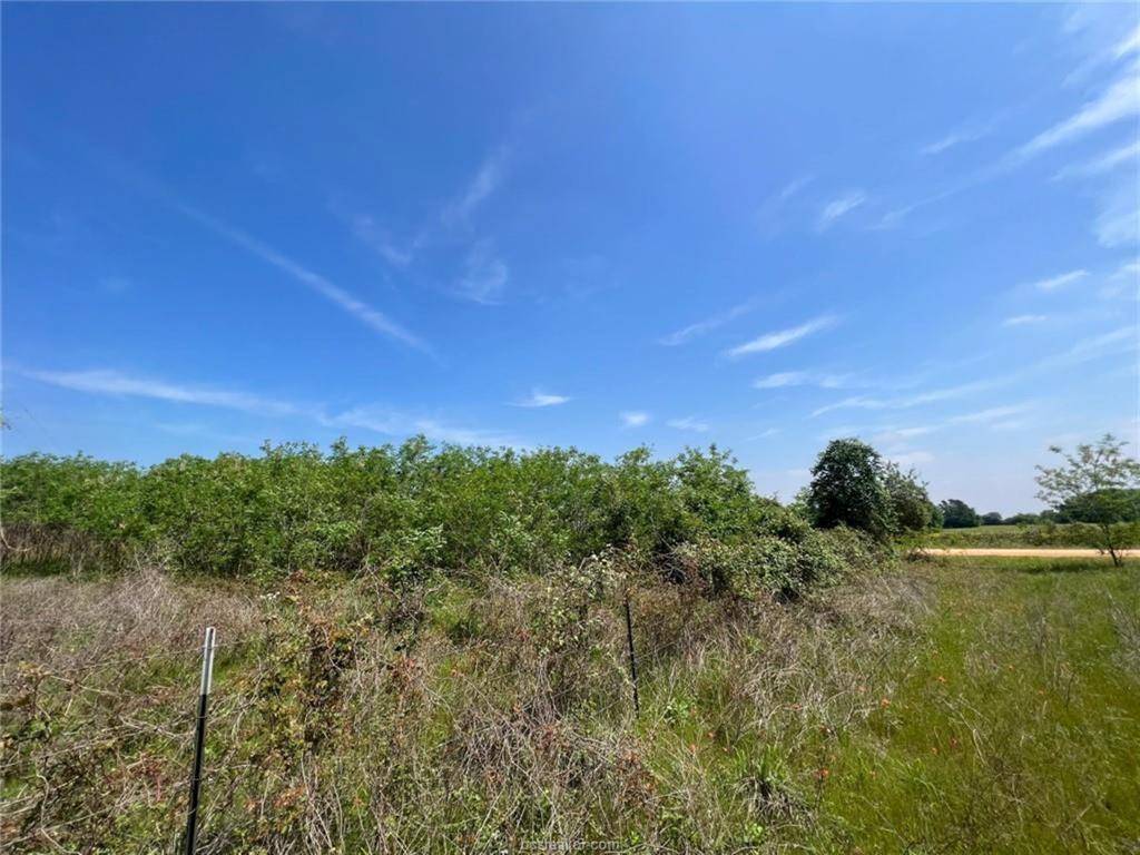 Caldwell, TX 77839,1 Acre CR 358