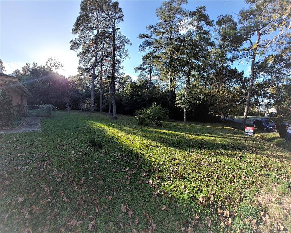 Spring, TX 77380,Lot 113 Pine Canyon