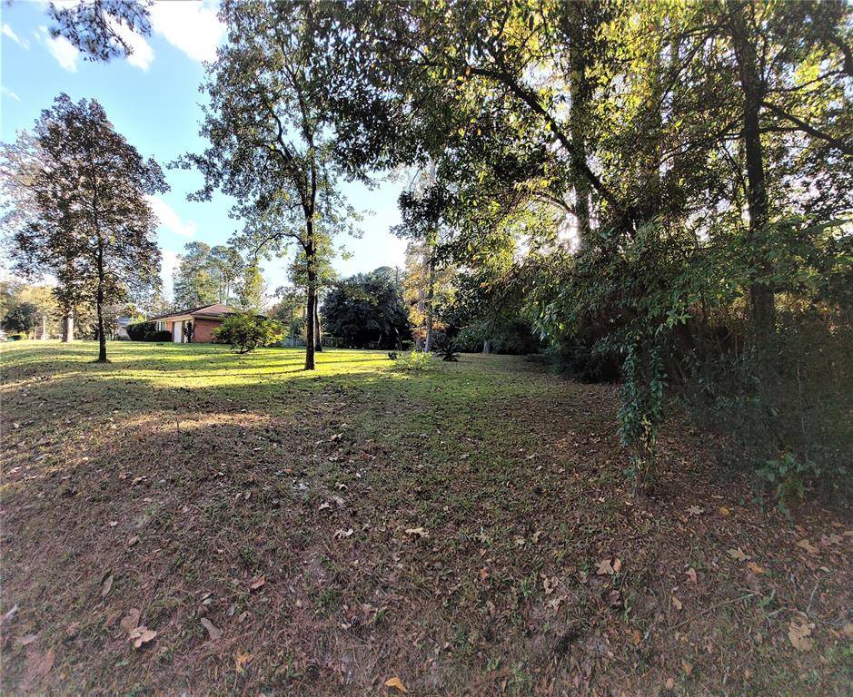 Spring, TX 77380,Lot 113 Pine Canyon