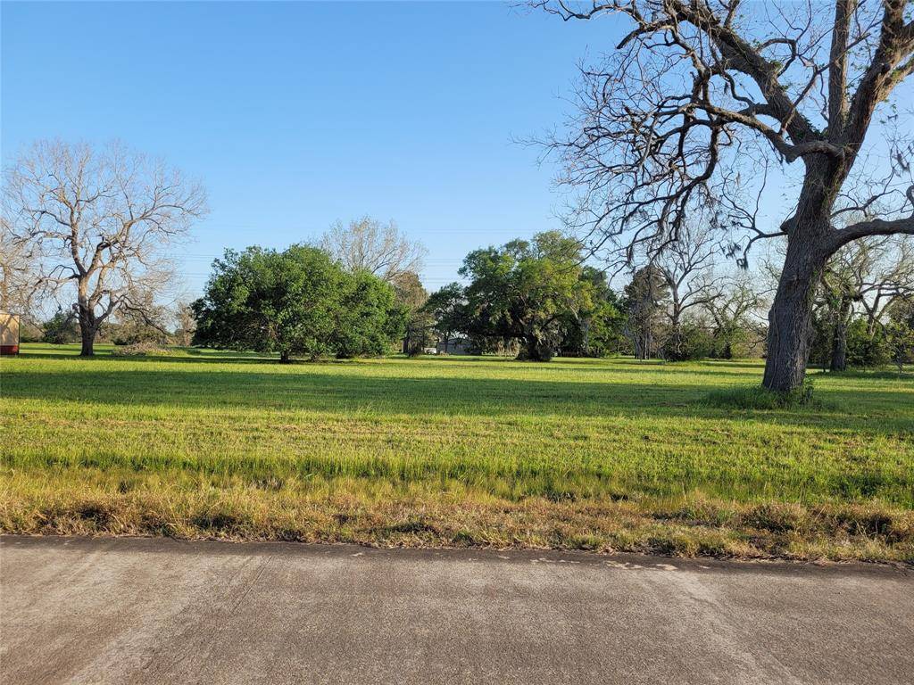 Angleton, TX 77515,148 Horse Shoe TRL