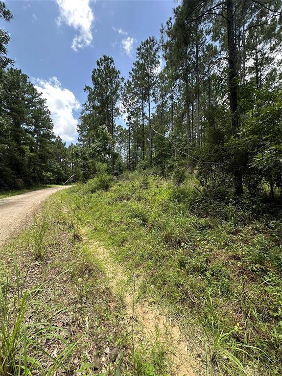 Livingston, TX 77351,TBD Dickens LOOP