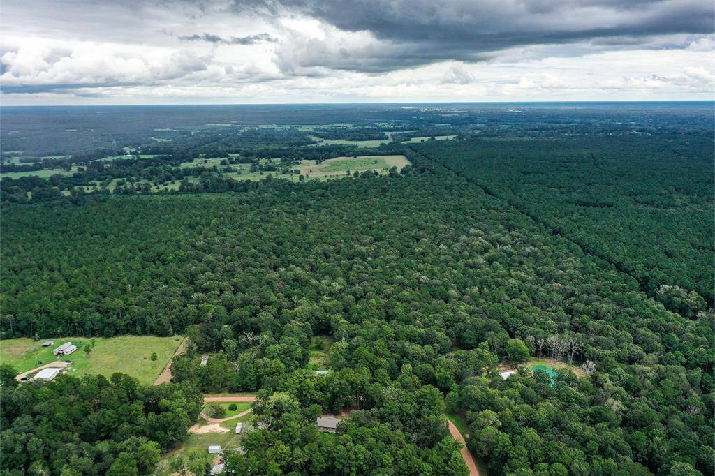 Shepherd, TX 77371,90.3 Acres Squirrel Tree Rd