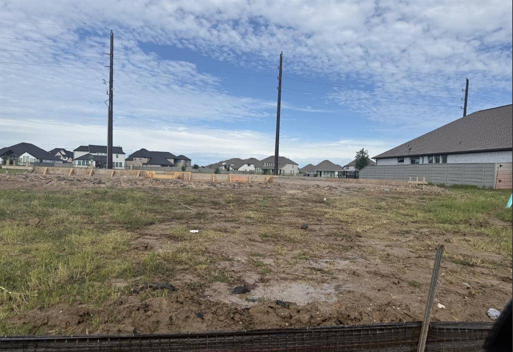 Manvel, TX 77578,2521 Gleaming Pear DR