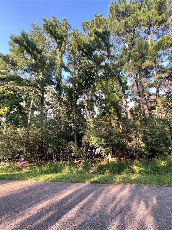 Magnolia, TX 77354,302 Box Elder DR