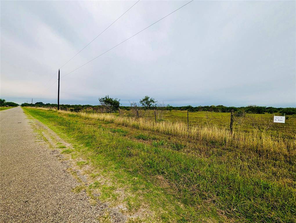 Premont, TX 78375,Lot 15 Cr 430