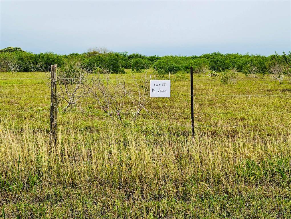 Premont, TX 78375,Lot 15 Cr 430