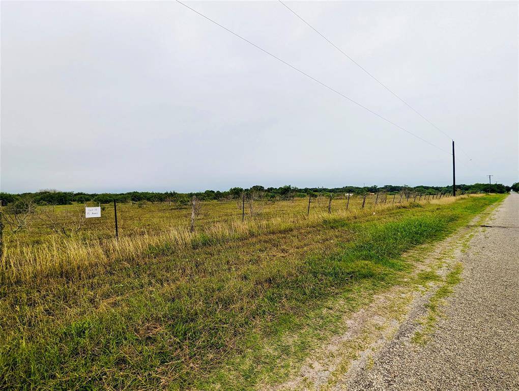 Premont, TX 78375,Lot 15 Cr 430