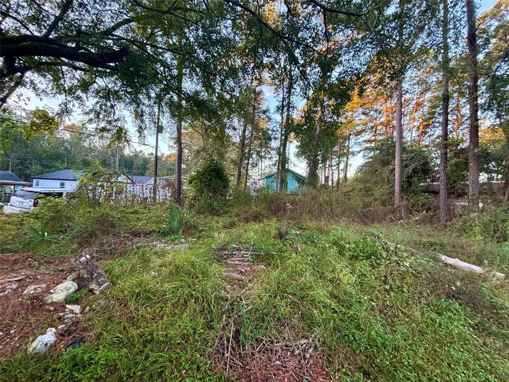 Willis, TX 77318,Lot 2 WALKWOOD DR