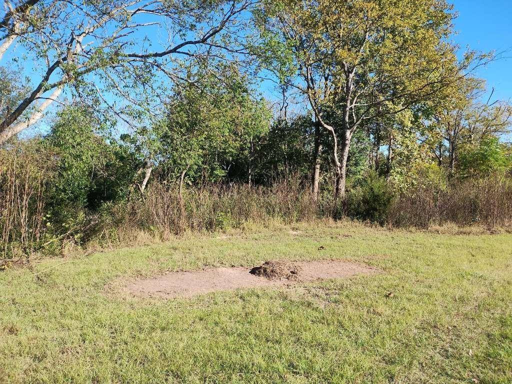 Winnsboro, TX 75494,707 E Broadway ST