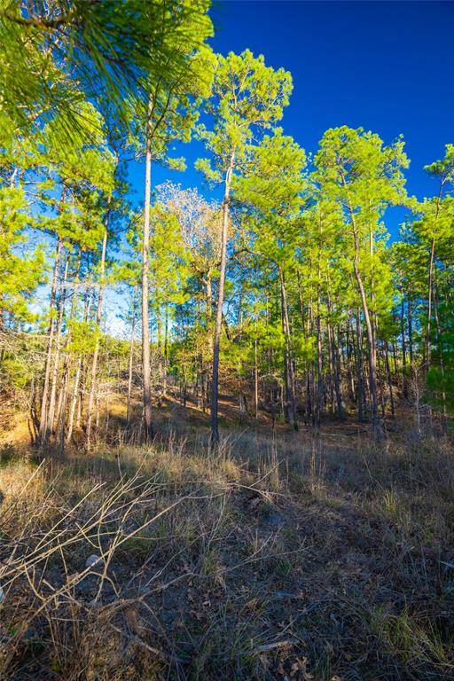 Chester, TX 75936,TBD County Road 2670