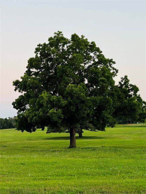 Round Top, TX 78954,216 Winn Haven - Lot 20