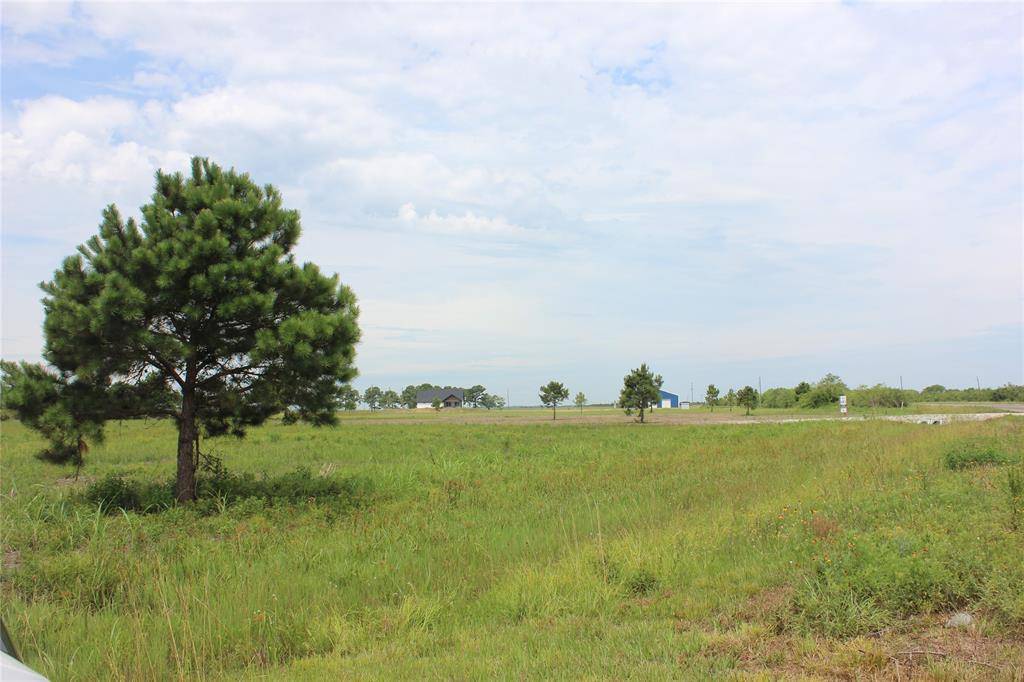 Beaumont, TX 77705,000 Lot 5 FM 365