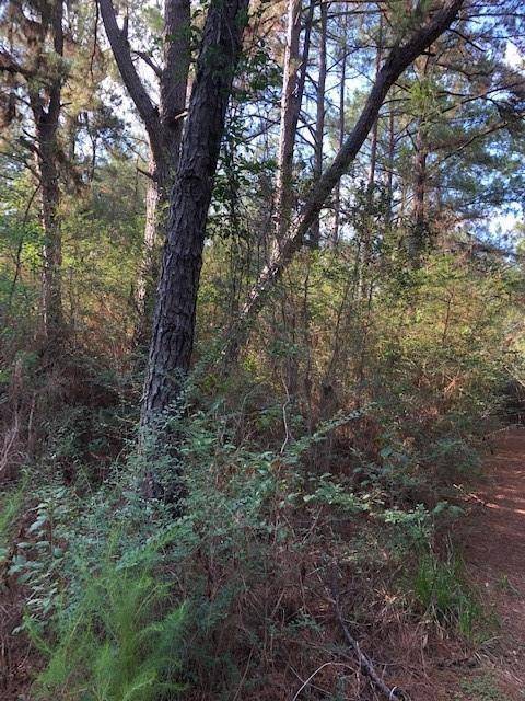 Tomball, TX 77377,0 Fisher DR