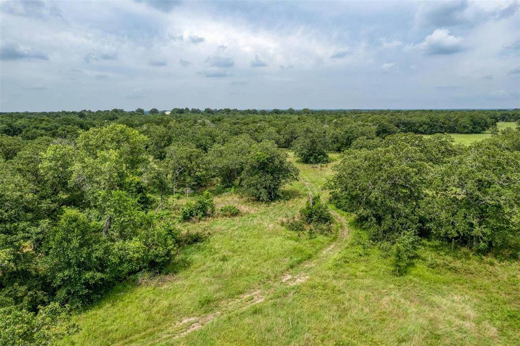 Smithville, TX 78957,4100 Red Hollow LN