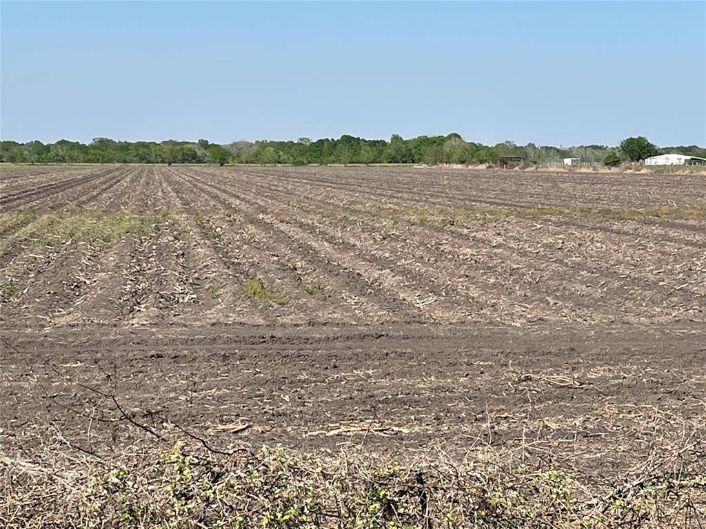 Hungerford, TX 77488,TBD COUNTY ROAD 212