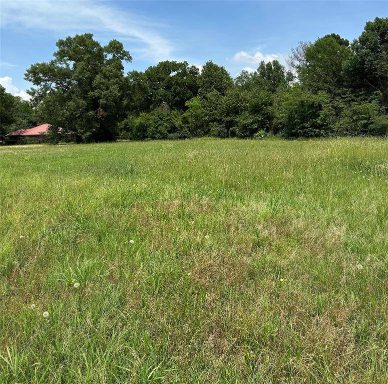 Livingston, TX 77351,Lot 15 Autumn LN