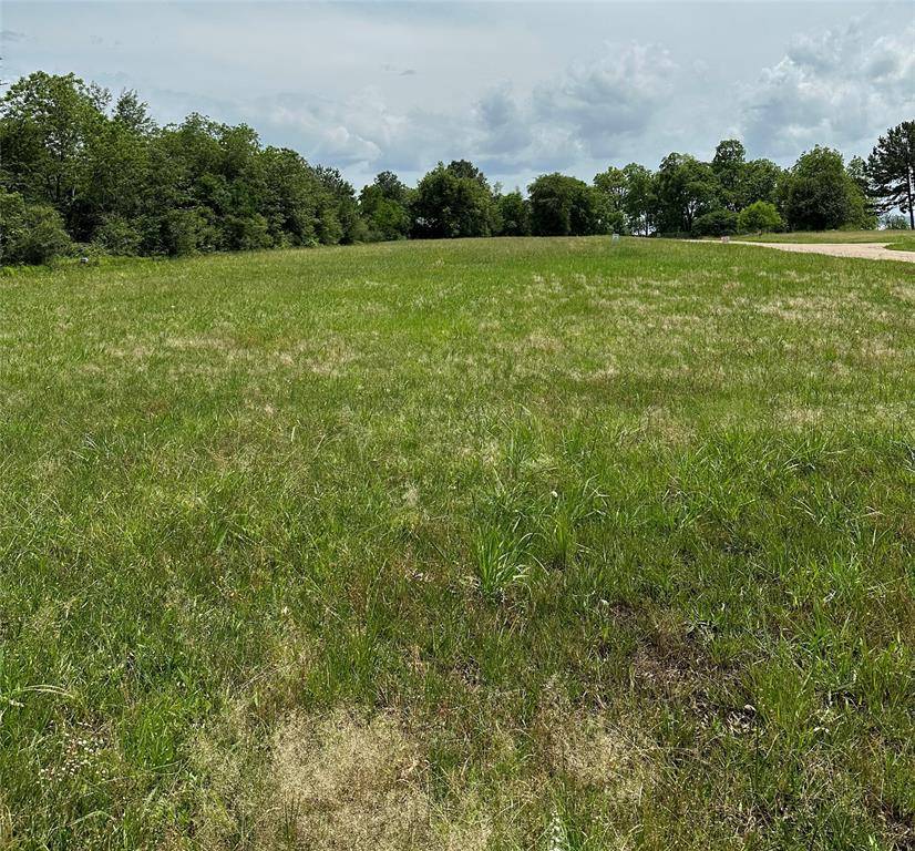 Livingston, TX 77351,Lot 15 Autumn LN