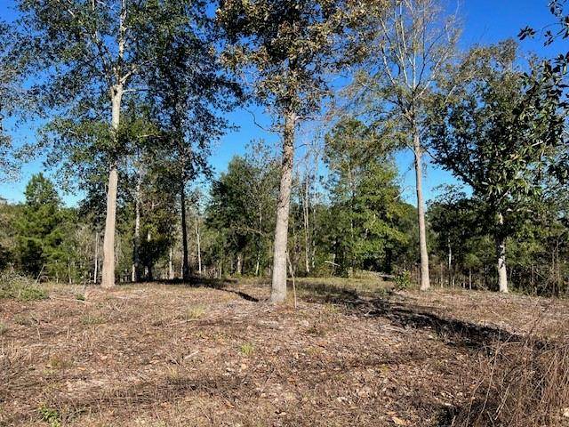 Livingston, TX 77351,TBD LOT 26 Addison Rd