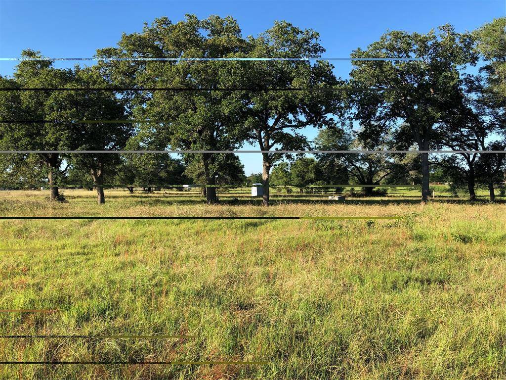 Hallettsville, TX 77964,Lot 12 PVT 1672