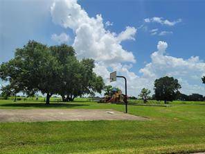 Angleton, TX 77515,347 Brahman TRL