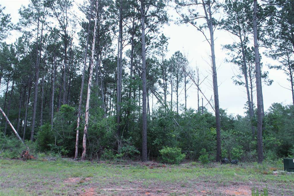 Willis, TX 77378,15392 Forest Grove DR