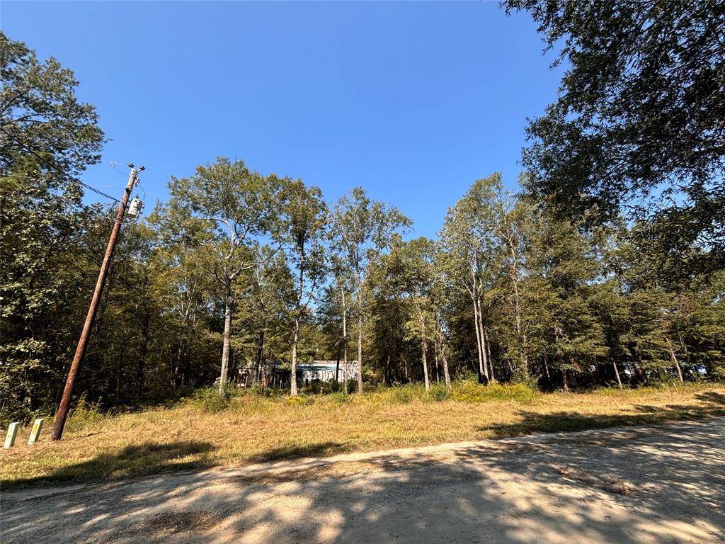 Livingston, TX 77351,tbd Somerset