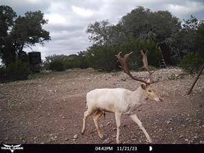 Junction, TX 76849,2275 Camino Real RD NW