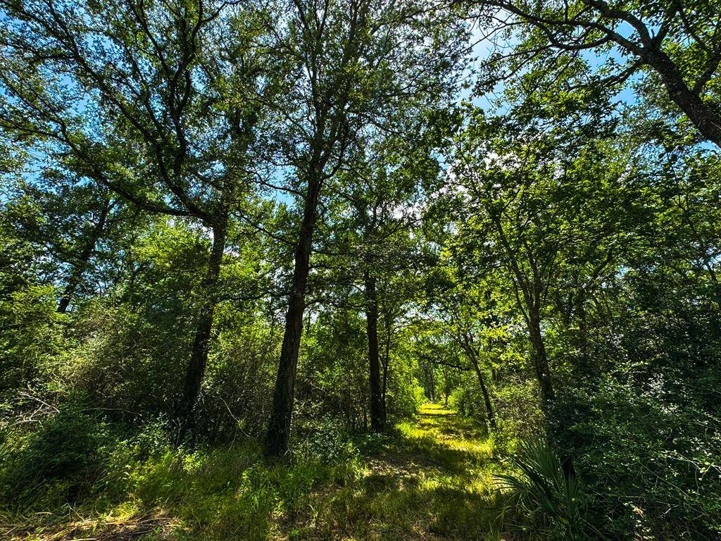 Hungerford, TX 77448,4888 Baldwin DR