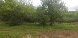 Chappell Hill, TX 77426,0000 Washington Heights Lot 13