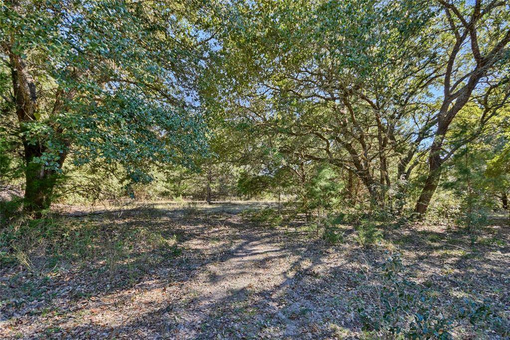 Round Top, TX 78954,1240 S Weyand Rd Lot 11