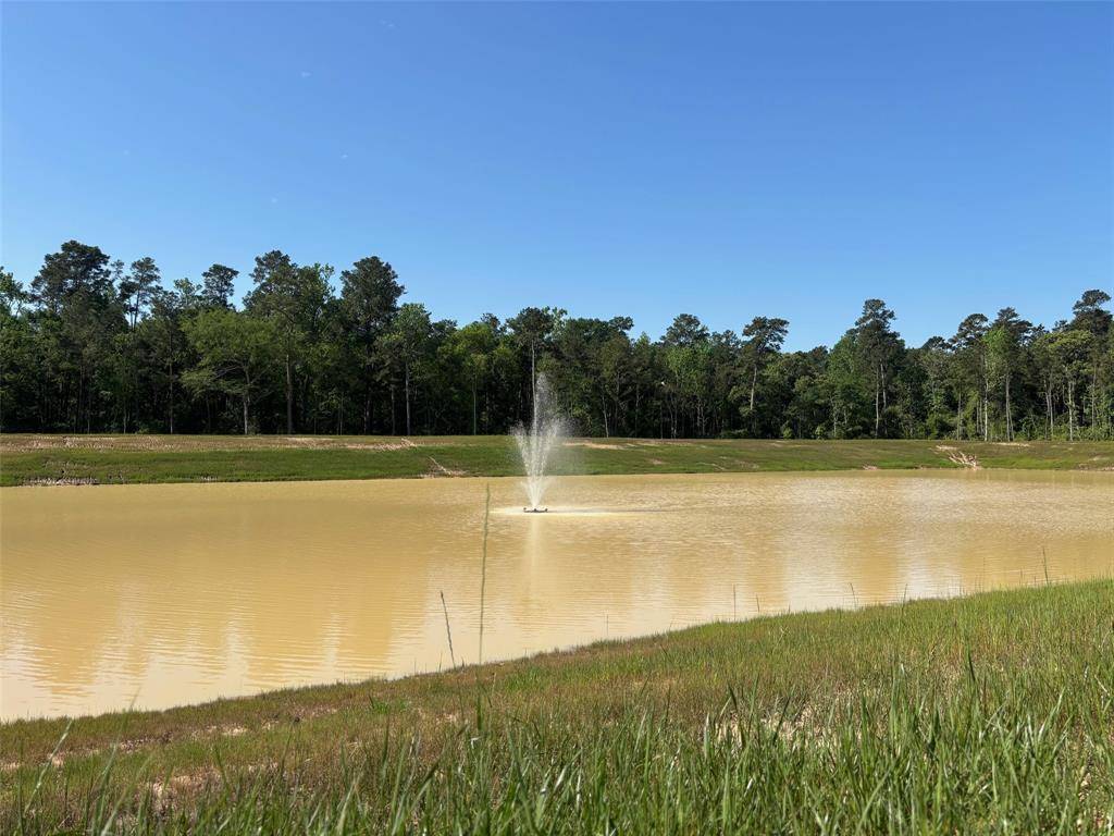 Hockley, TX 77447,228 Hidden Oak DR