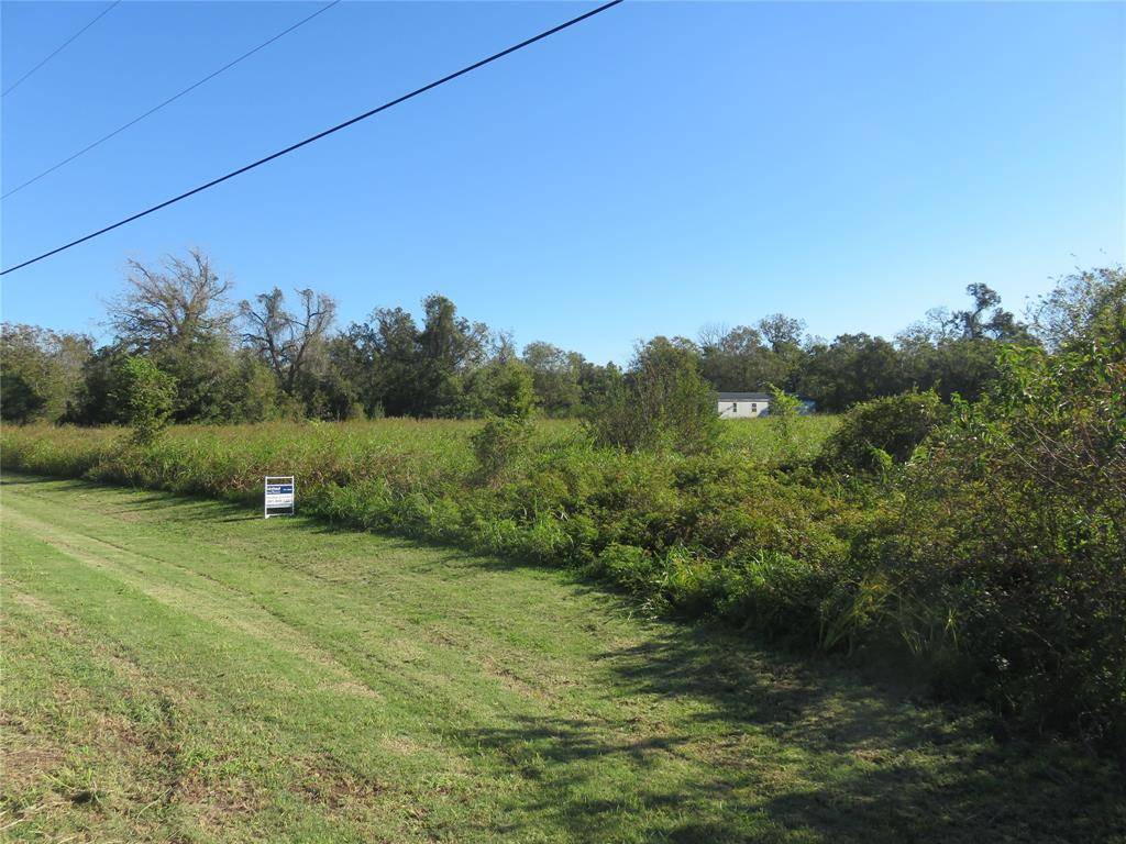 Wharton, TX 77488,Lot 8 Fern LN