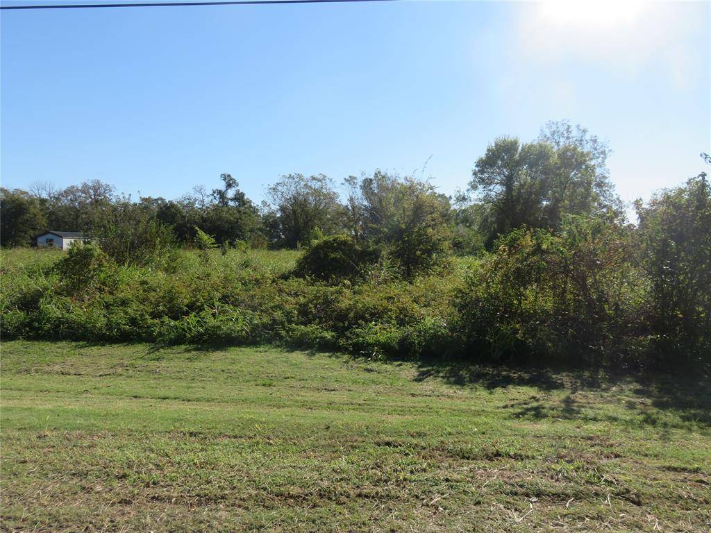 Wharton, TX 77488,Lot 8 Fern LN