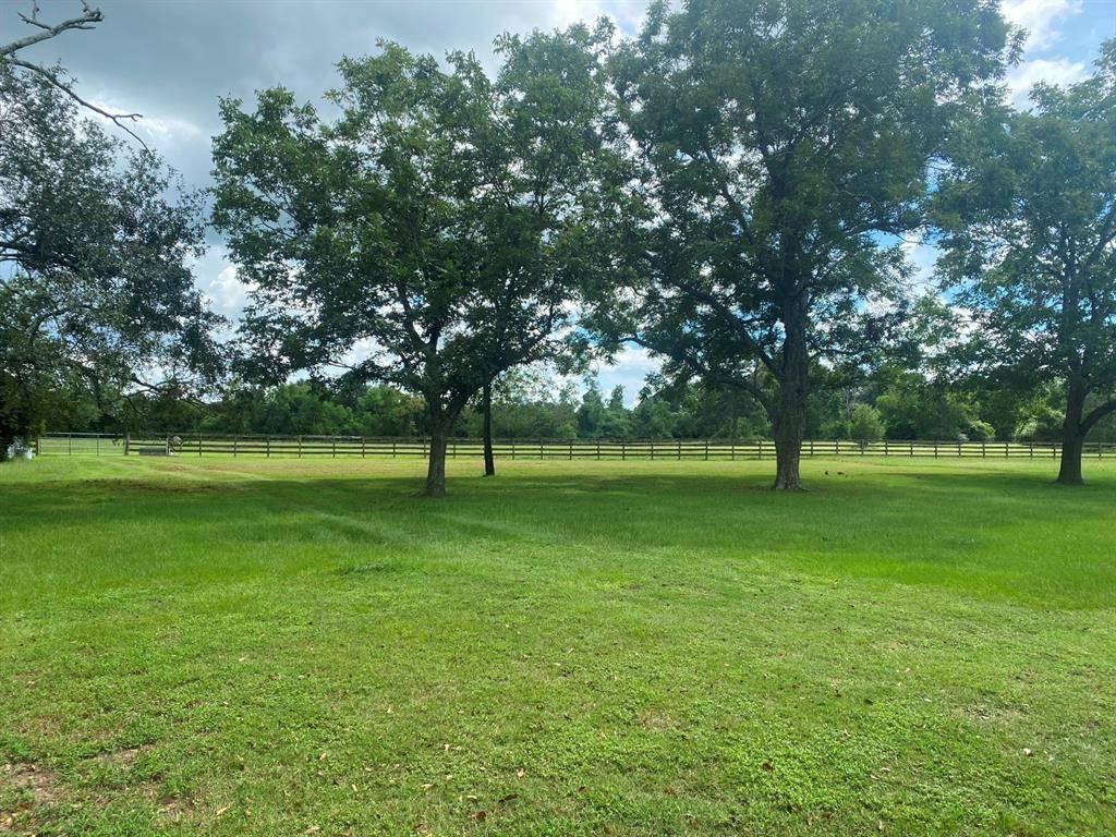 Hockley, TX 77447,25587 Magnolia RD