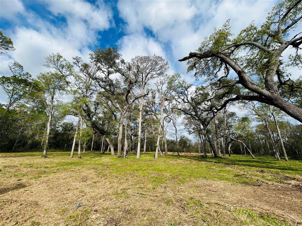 Angleton, TX 77515,586 Cabana Trail