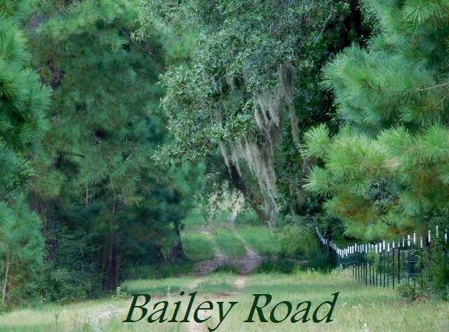 Alleyton, TX 78935,0 Bailey Road RD