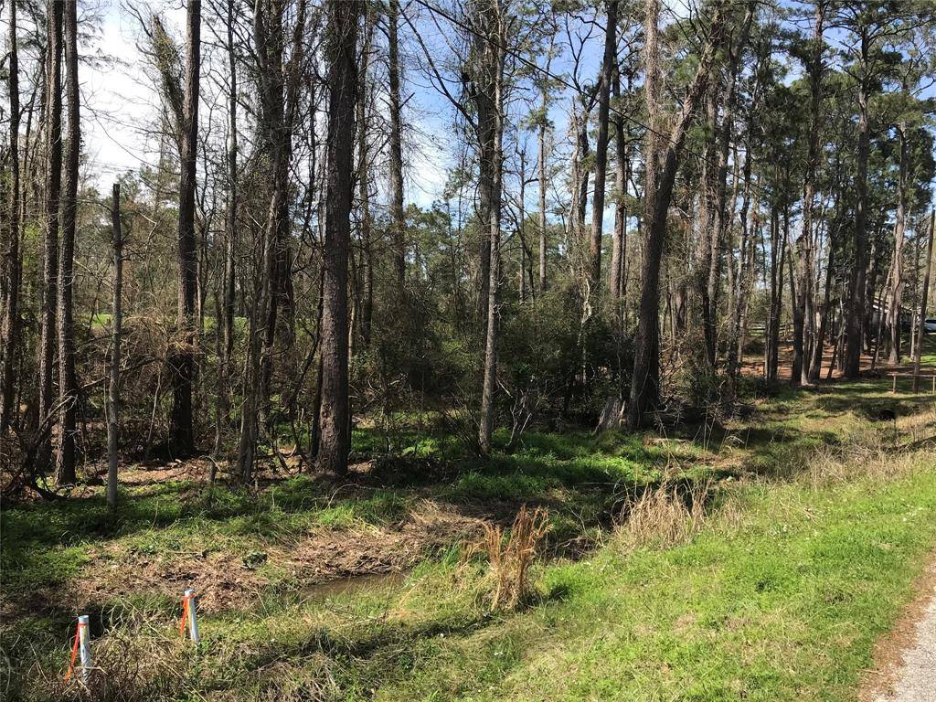 Onalaska, TX 77360,580 Parkview DR