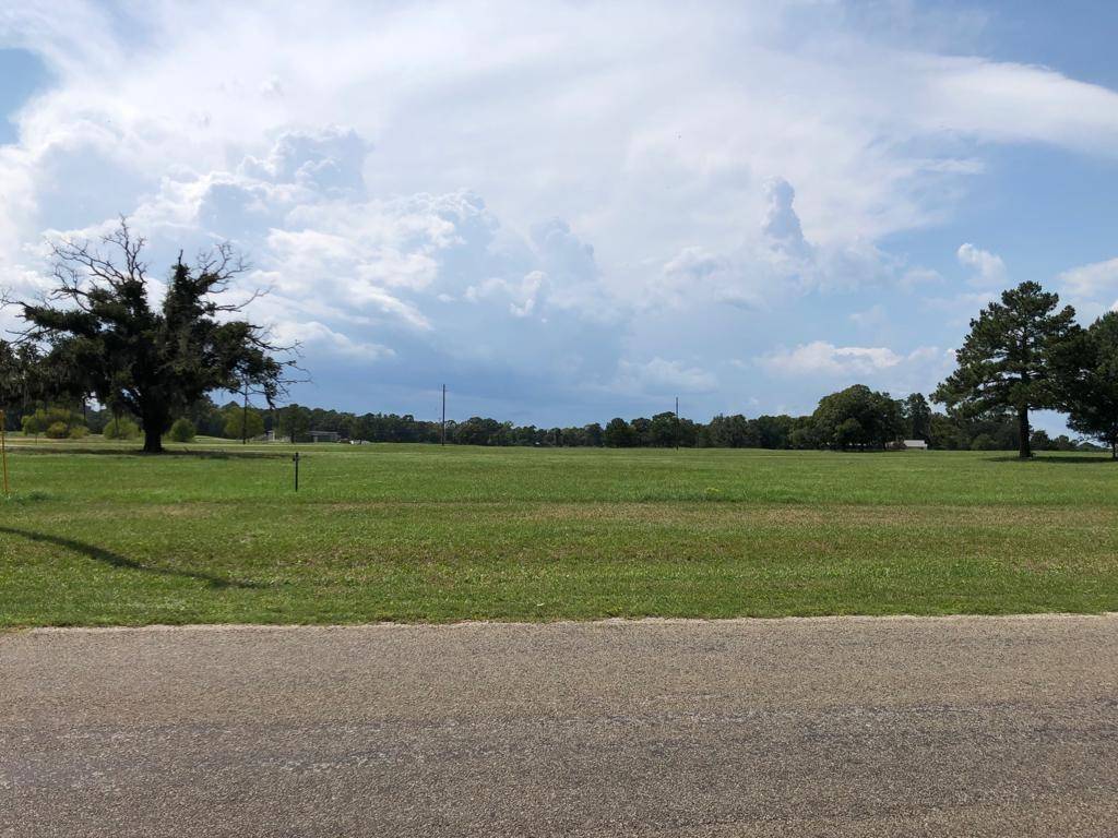 Trinity, TX 75862,Lot 3 Tara DR