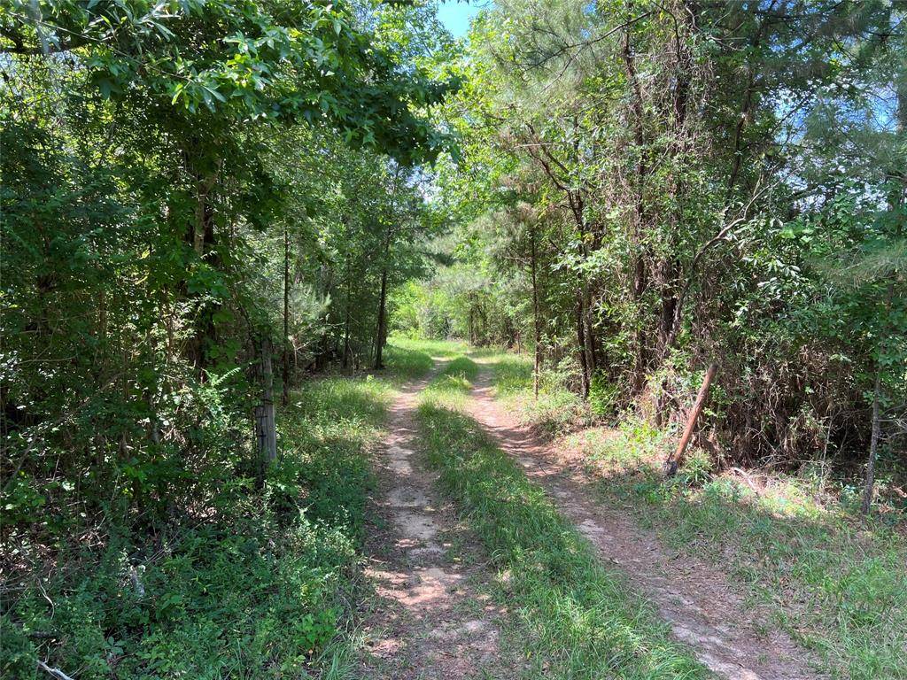 Kirbyville, TX 75956,872 County Road 471